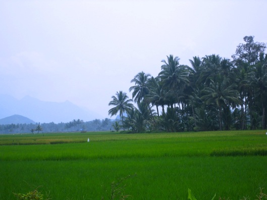 IMG_3170.JPG - Version 2.jpg IMG 3170 JPG Version 2