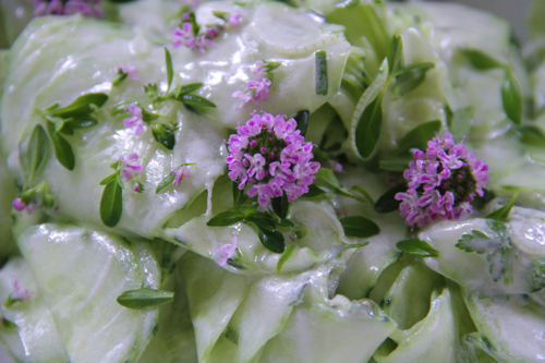 salade de concombre copy copy copy