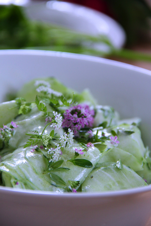 salade de concombre copy